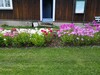 IMG_20200804_145727