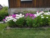 IMG_20200804_145740