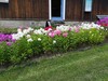 IMG_20200804_145745