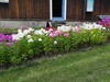 IMG_20200804_145745