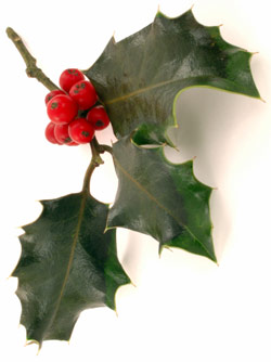 Førjulsbridge - Øyvind Angeltveit - Gerhard Leiten til topps!