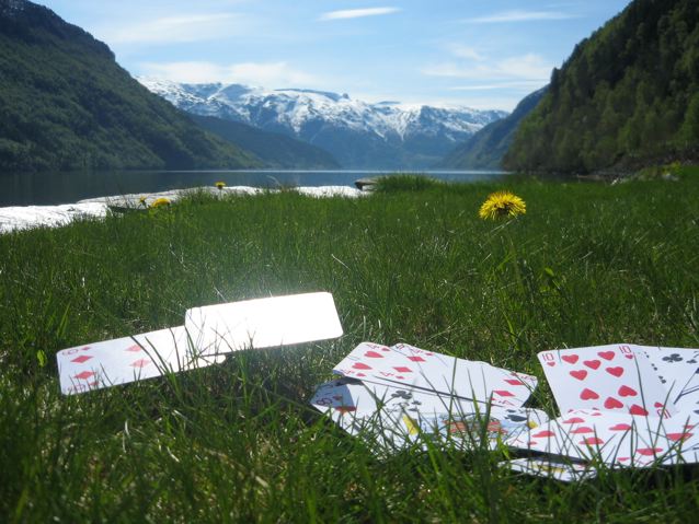 Mandag 10. juni er det klart for sommerfest!