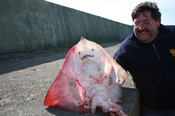 Kristen Midtlid leder sommerbridgen