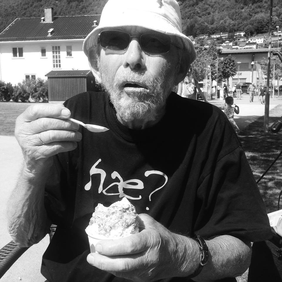 VIKESLAND STIG I GRADENE