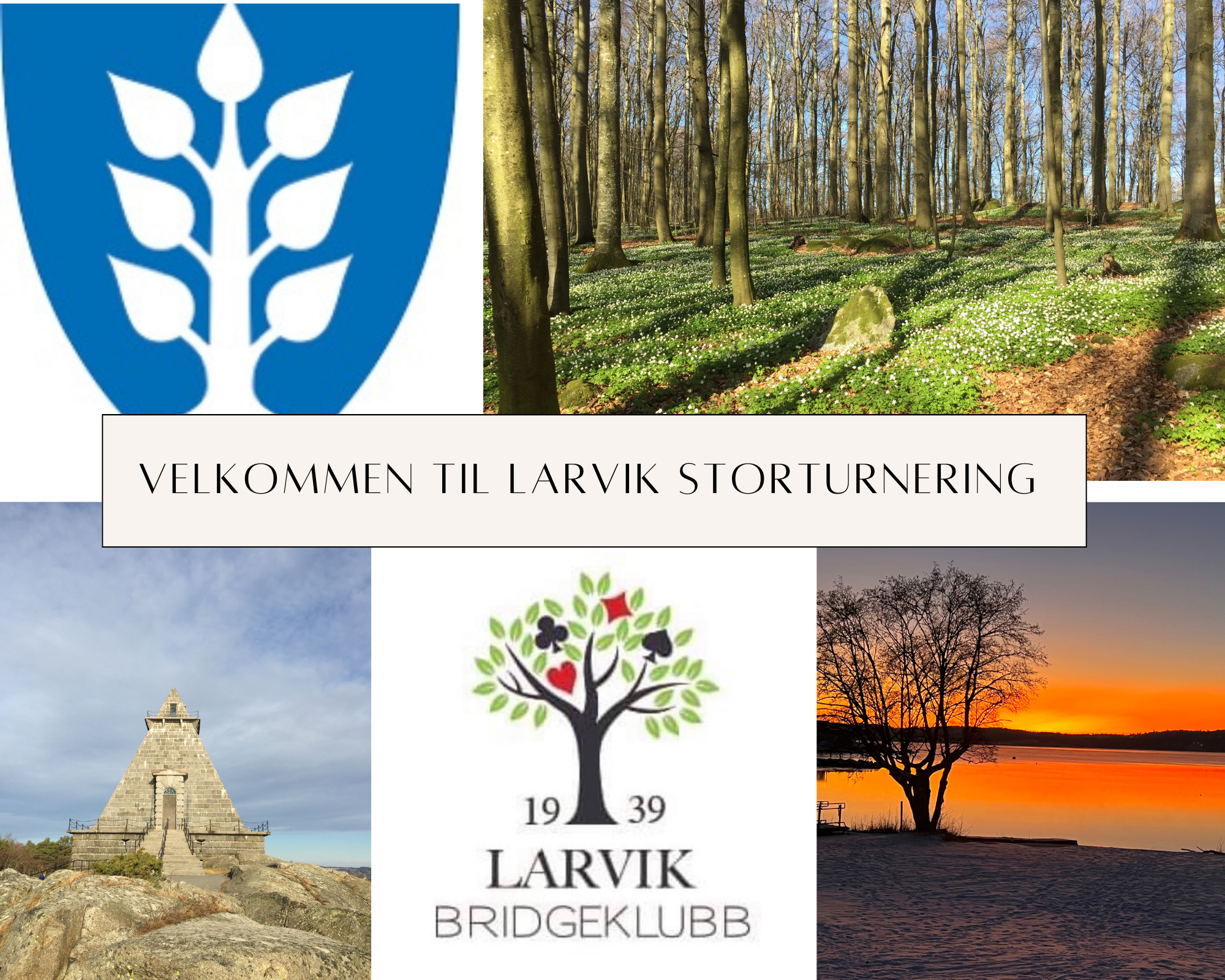 LARVIK STORTURNERING 2023