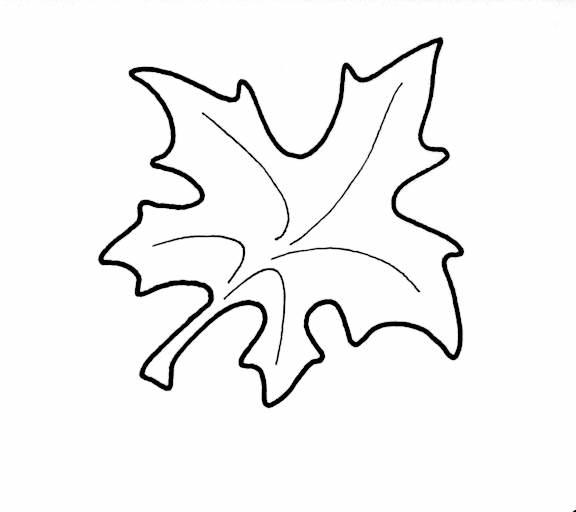 En og en halv uke til Landslaget samles i Lyngdal..