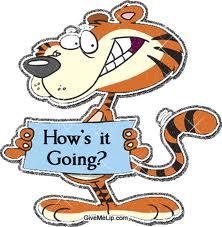 Kommentarer kommer....