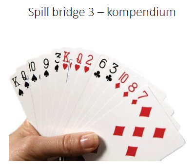 Spill Bridge 3 kompendium